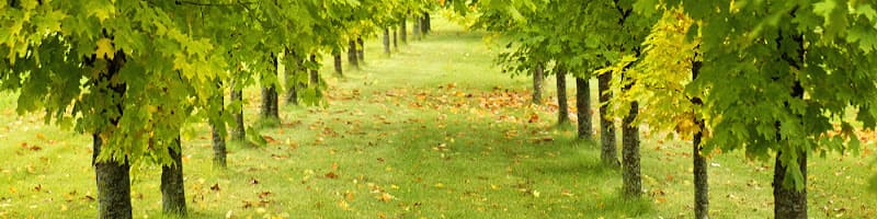 L And L Environmental Services LLC business photo