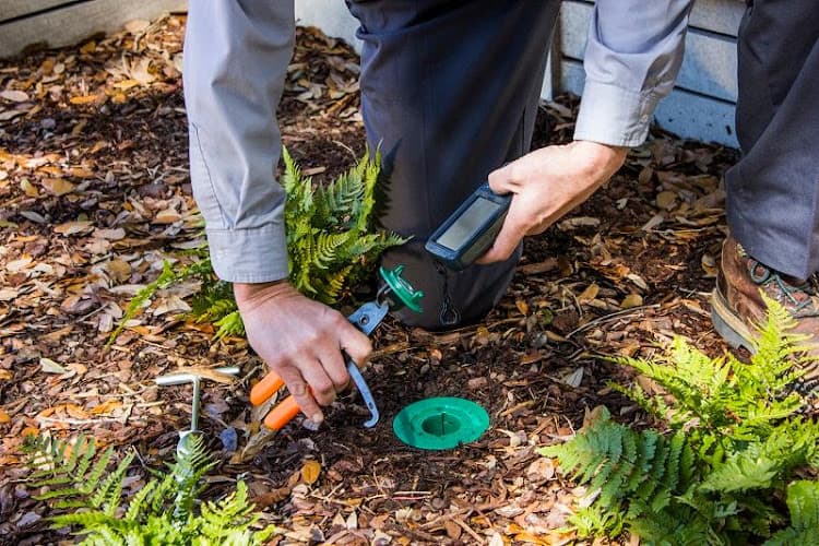 Terminix business photo