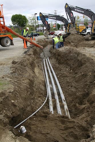 C A Strout & Sons business photo