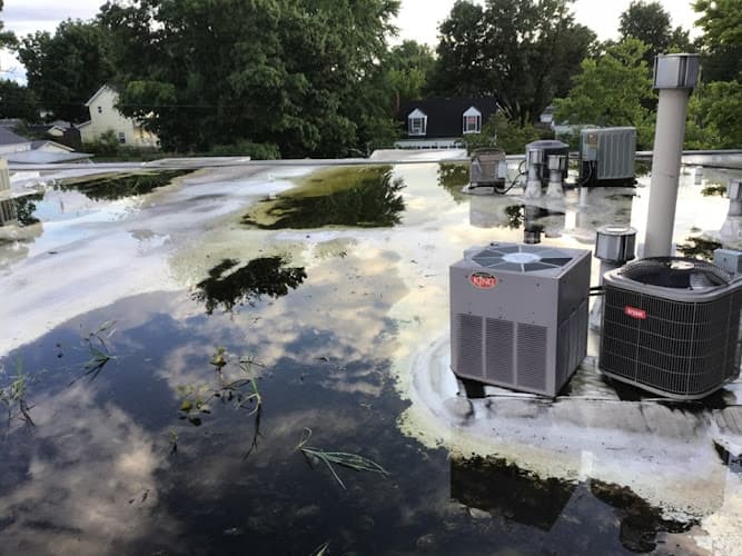 Purofirst Disaster Services business photo