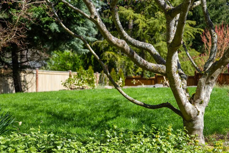 Quality Contracting Inc. business photo