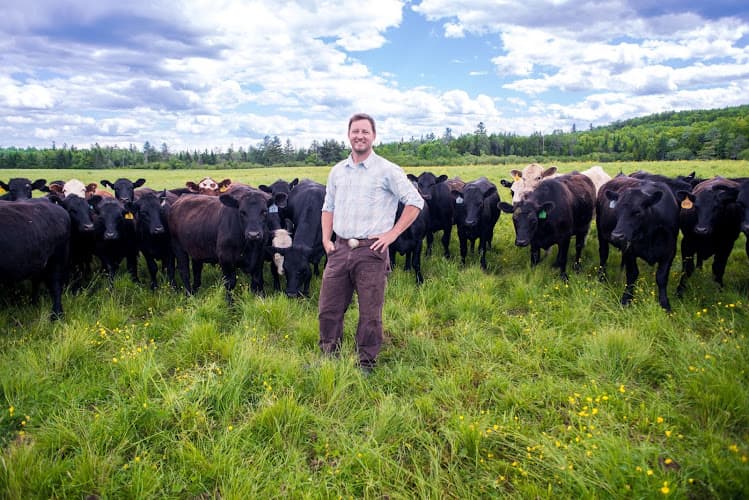 Cold Spring Ranch business photo
