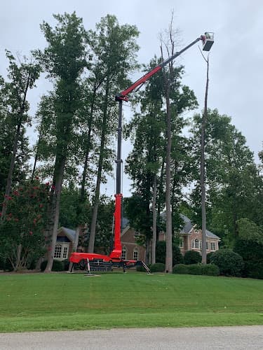Raleigh Tree Service business photo